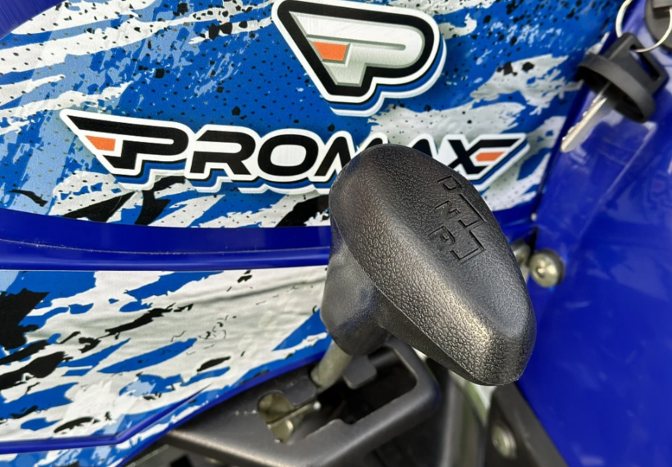  Квадроцикл PROMAX ATV 250 MAX (2025) в Новошахтинске