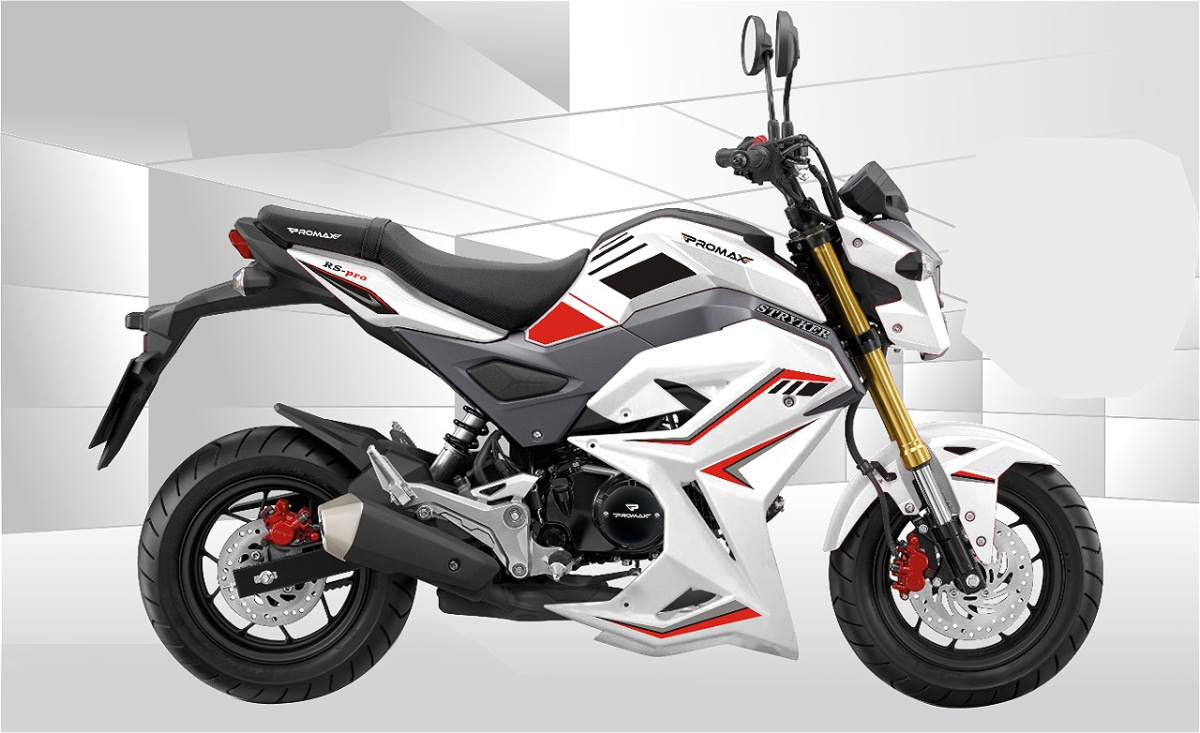 Мотоцикл PROMAX STRYKER 200(49) 2.0 в Новошахтинске