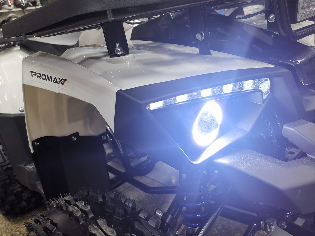 Квадроцикл PROMAX WILD 175 LUX в Новошахтинске