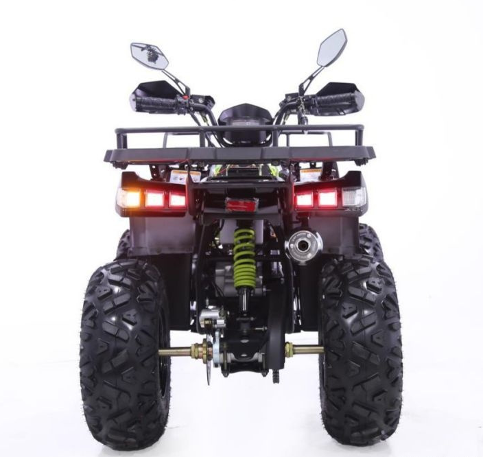 Квадроцикл YACOTA WARRIOR 200 PRO в Новошахтинске