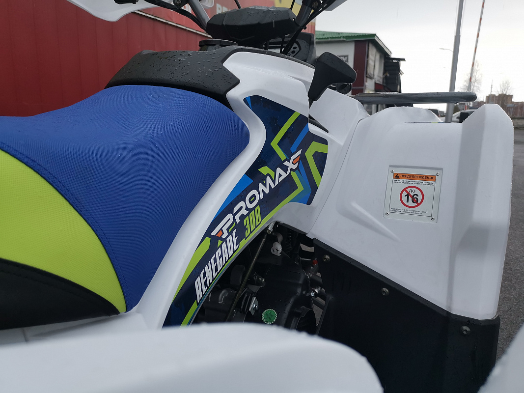 Квадроцикл PROMAX RENEGADE 280 LUX (2025) в Новошахтинске