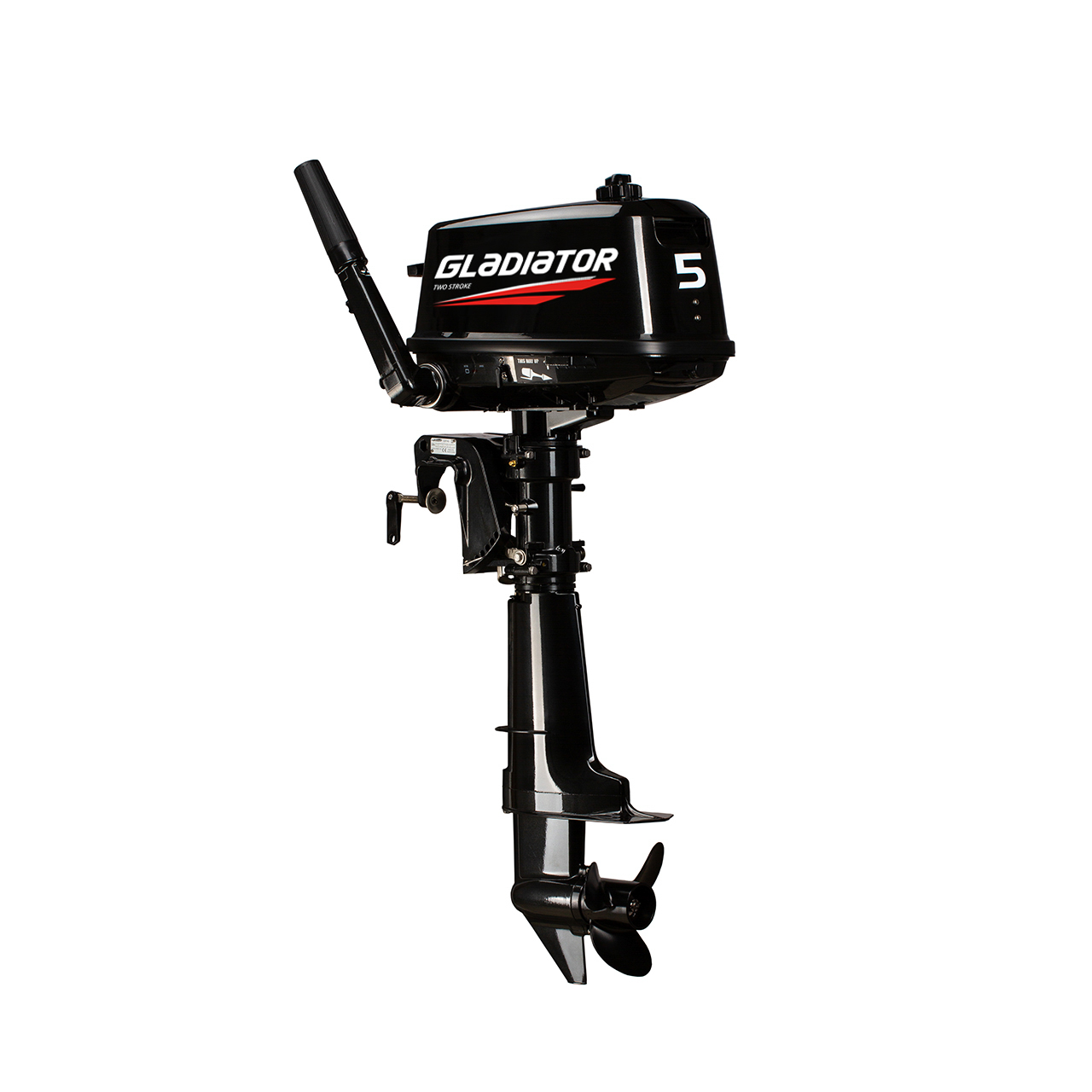 ЛОДОЧНЫЙ МОТОР GLADIATOR G5FHS в Новошахтинске