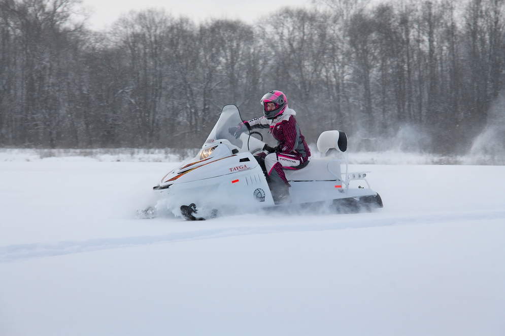 СНЕГОХОД РМ ТАЙГА ПАТРУЛЬ 551 SWT в Новошахтинске