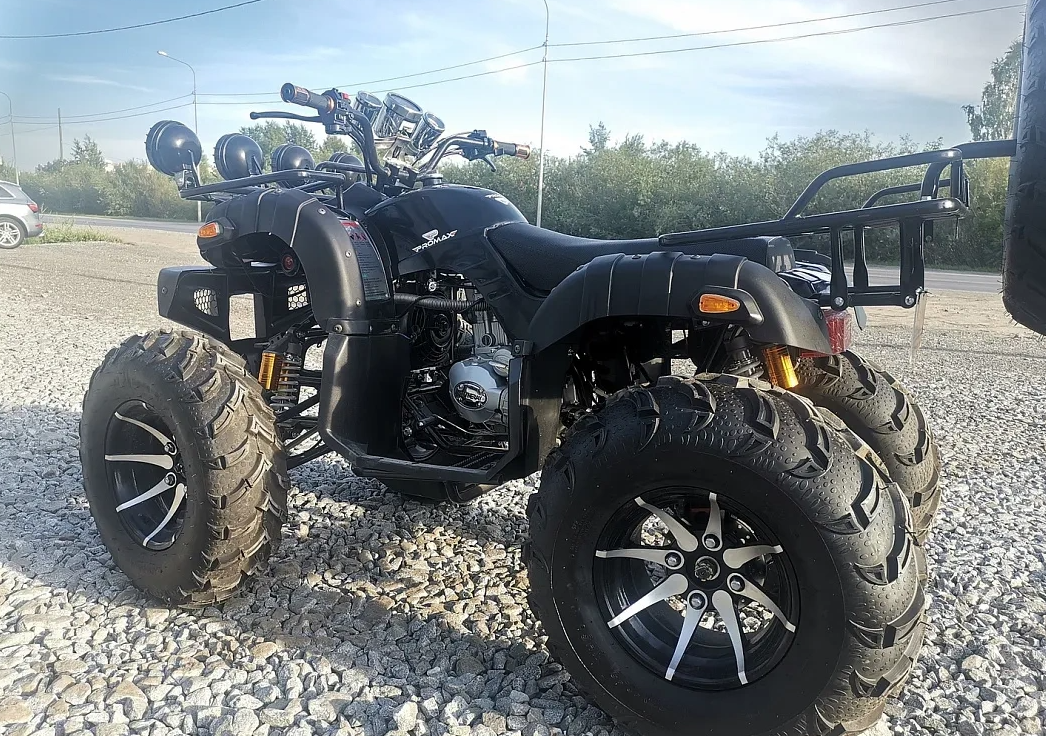 Квадроцикл PROMAX LEO 300 Max (кардан) в Новошахтинске