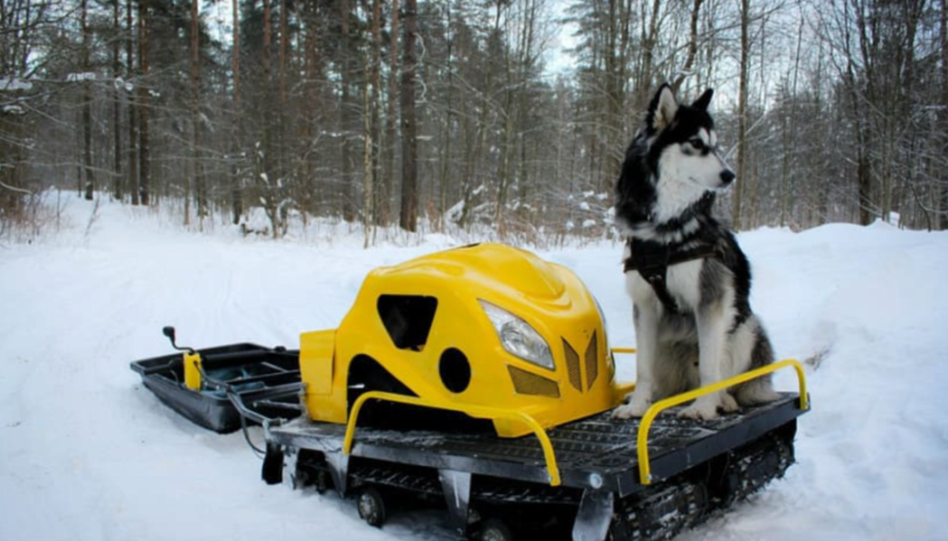 Мотобуксировщик LEBEDEV MOTORS ВОЛКОДАВ POWER V13 в Новошахтинске