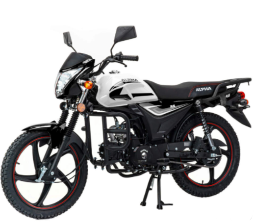 Мопед MOTOLAND (МОТОЛЕНД) Альфа RS 11 (LM48-B) в Новошахтинске