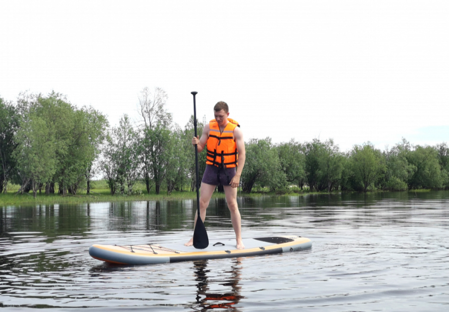 SUP (САП) Доска MISHIMO DINO 10(305) в Новошахтинске