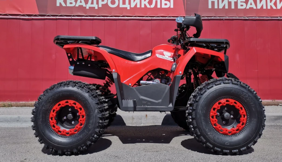 Квадроцикл PROMAX WILD 175 BASIC в Новошахтинске