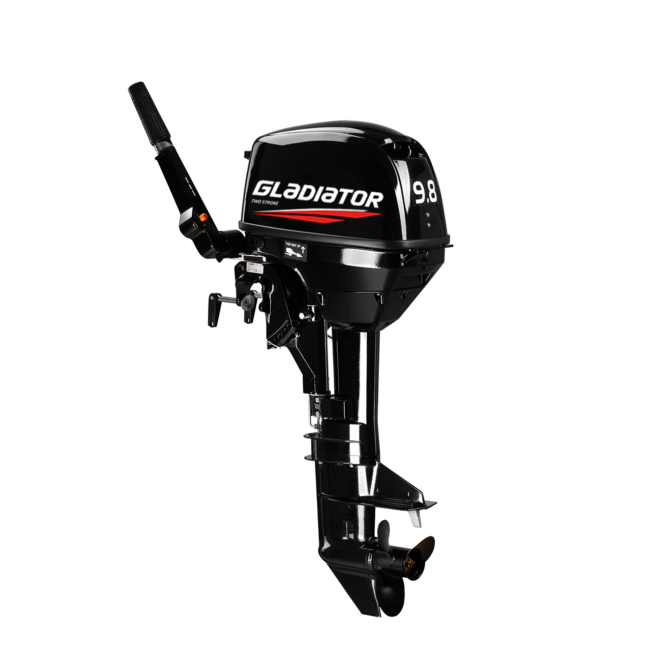 ЛОДОЧНЫЙ МОТОР GLADIATOR G9.8FHS в Новошахтинске