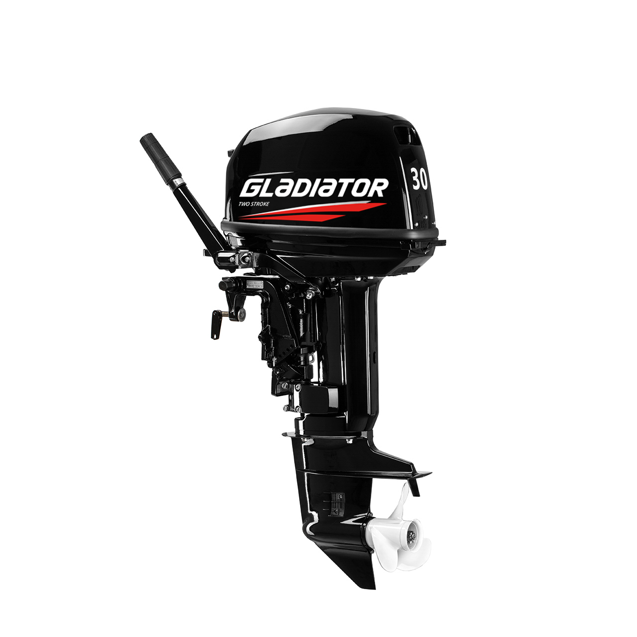 ЛОДОЧНЫЙ МОТОР GLADIATOR G30FHS в Новошахтинске