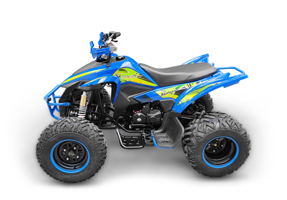 Квадроцикл YACOTA TYPHOON 250 в Новошахтинске