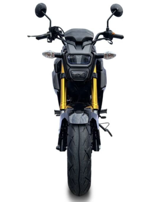 Мотоцикл PROMAX STRYKER 200(49) в Новошахтинске