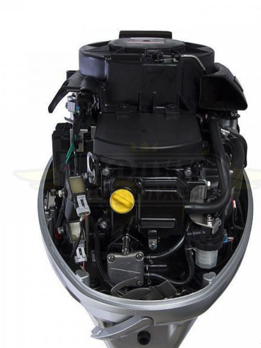 Лодочный мотор SEANOVO SNEF30FEL-EFI в Новошахтинске