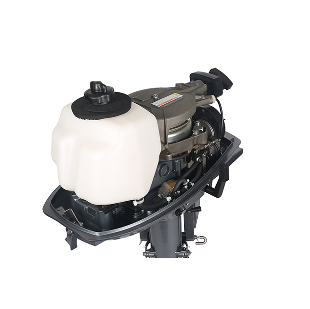 ЛОДОЧНЫЙ МОТОР ALLFA CG T5 в Новошахтинске