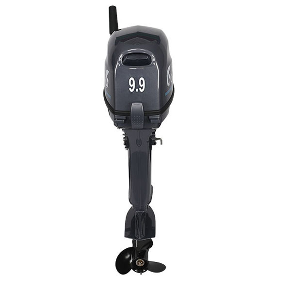 Лодочный мотор ALLFA CG Т9.9(20)MAX в Новошахтинске