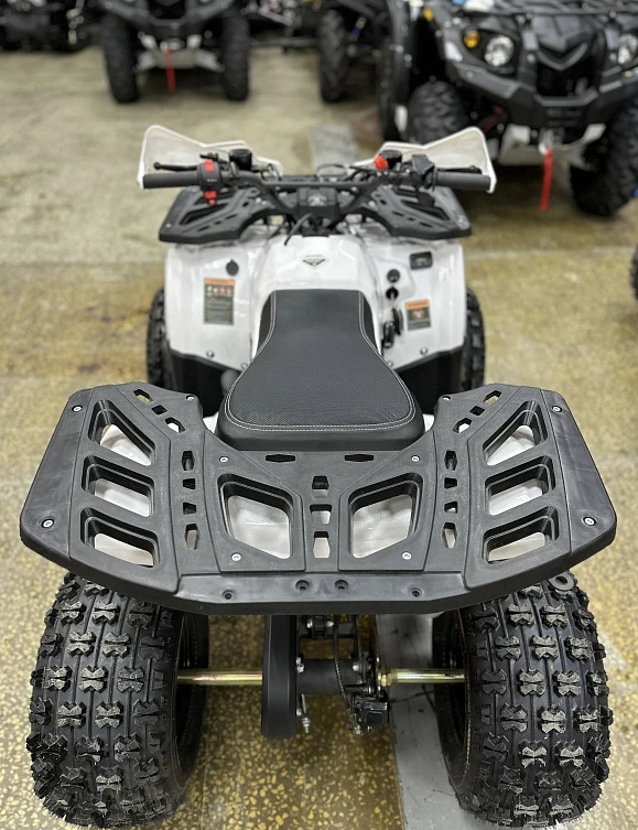 Квадроцикл PROMAX WILD 2.0 190 в Новошахтинске