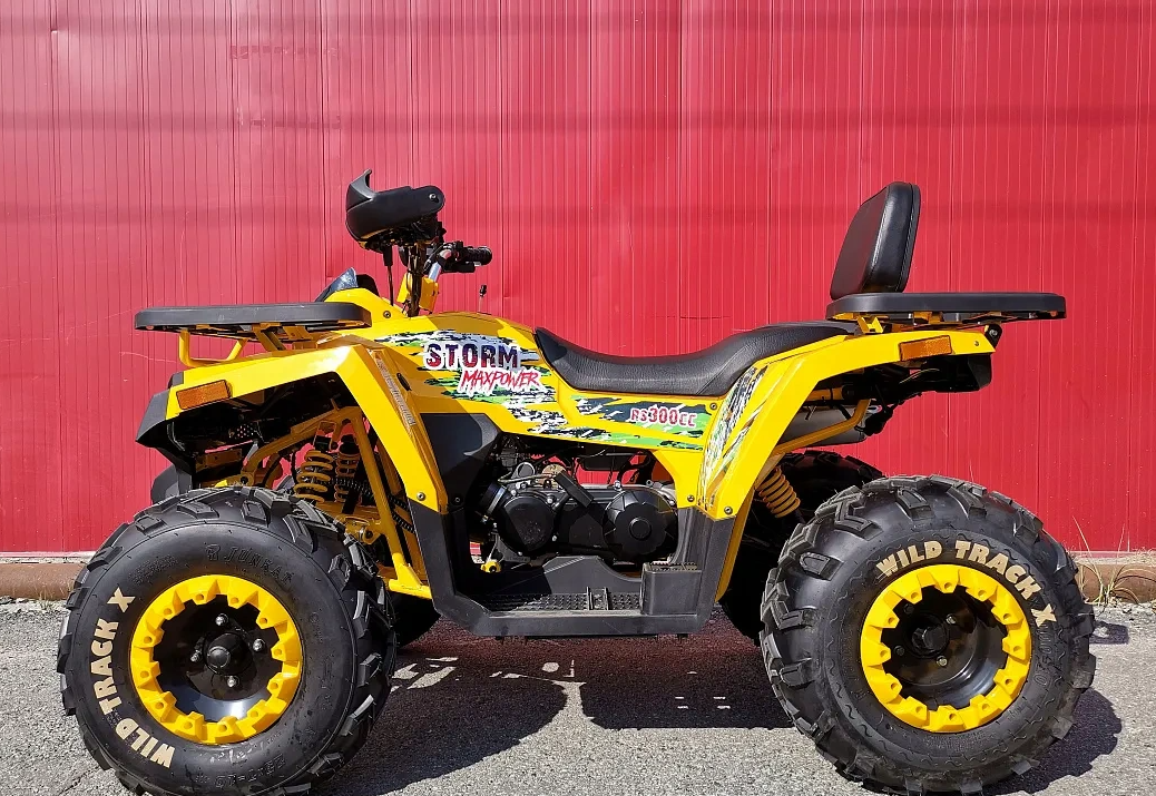 Квадроцикл PROMAX STORM 280 LUX в Новошахтинске