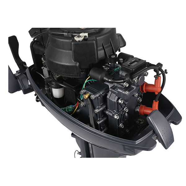 ЛОДОЧНЫЙ МОТОР ALLFA CG Т9,9 в Новошахтинске