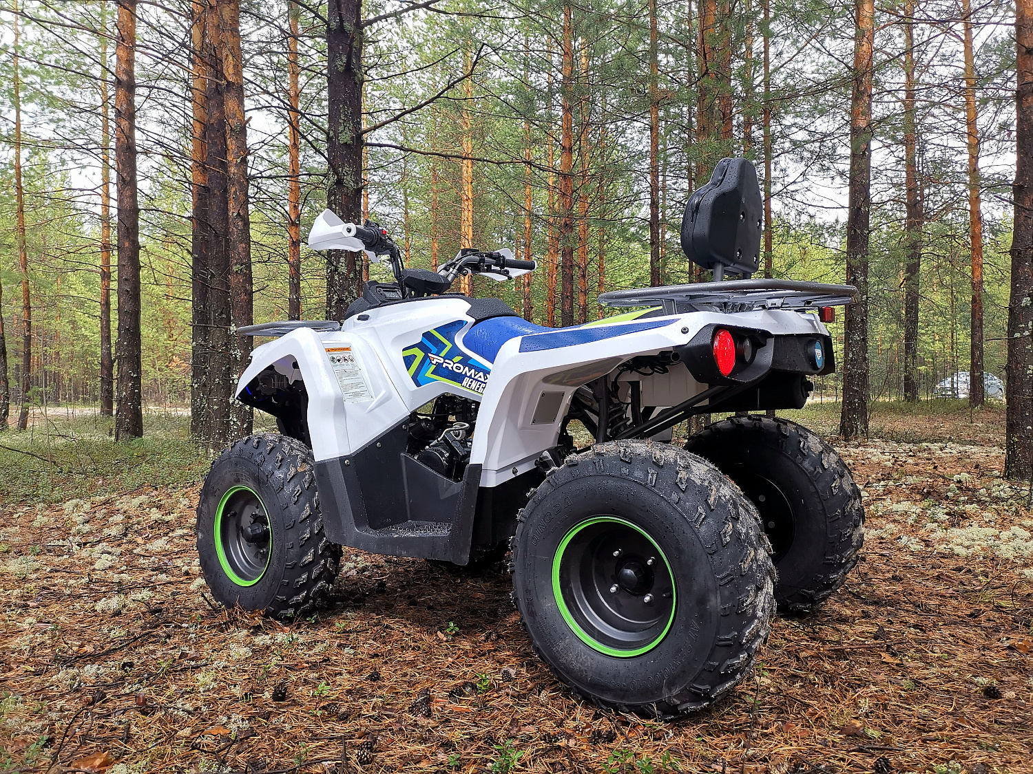Квадроцикл PROMAX RENEGADE 280 (2025) в Новошахтинске