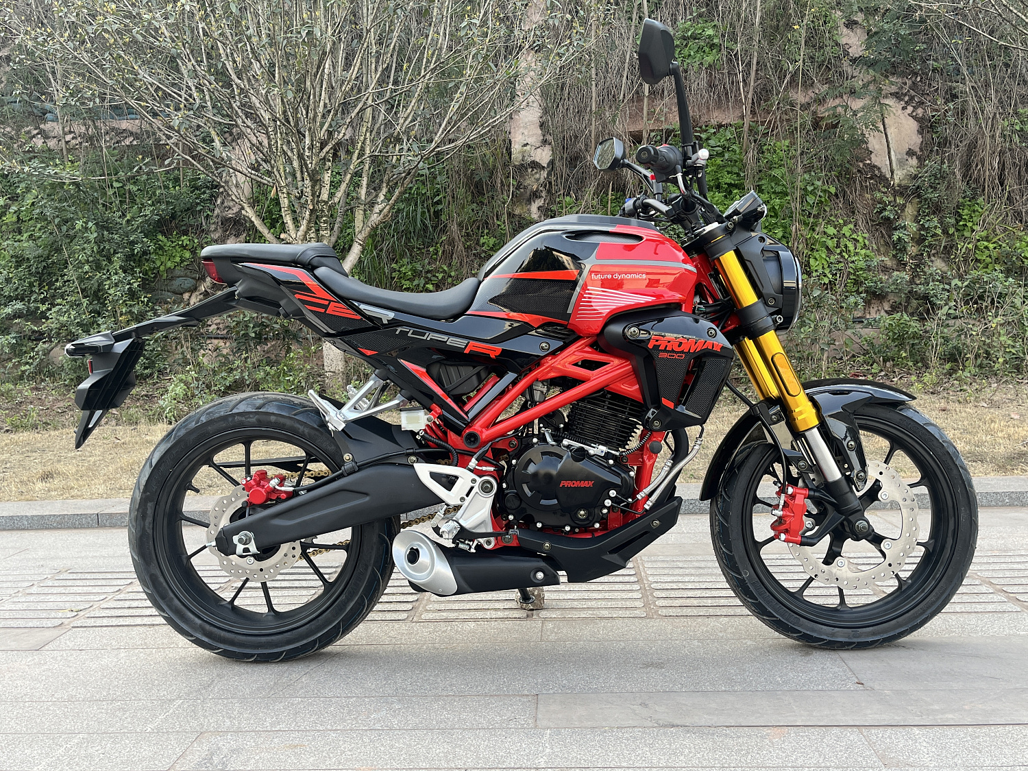 Мотоцикл PROMAX CB300 в Новошахтинске