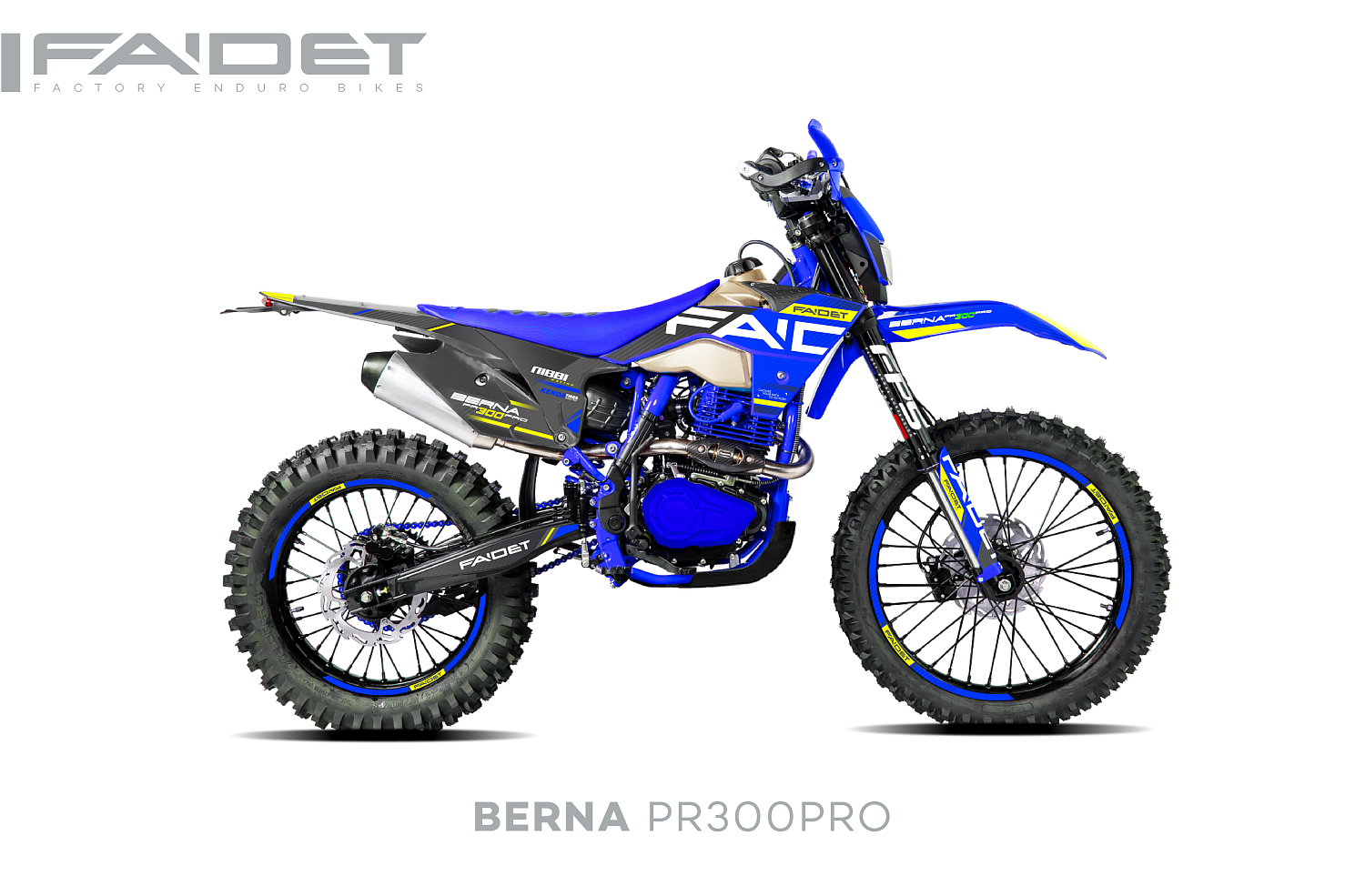 Кроссовый мотоцикл FAIDET BERNA PR300-PRO FPS в Новошахтинске