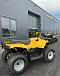 КВАДРОЦИКЛ IRBIS ATV 250  в Новошахтинске