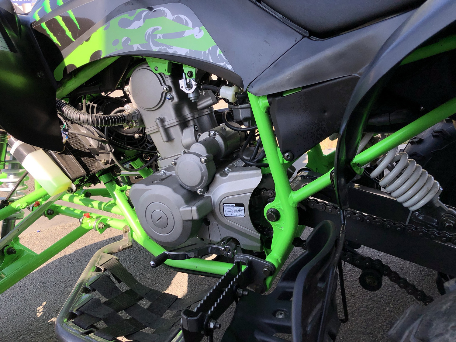 Квадроцикл PROMAX RAPTOR 300 NEW Monster в Новошахтинске