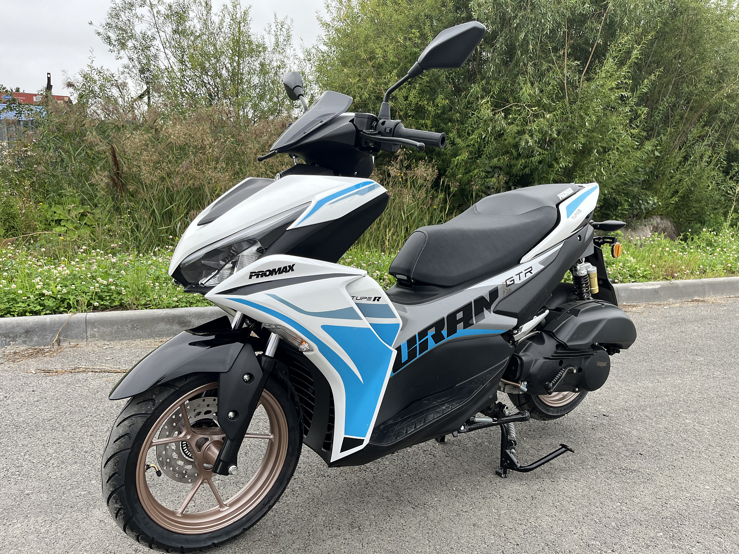 Скутер PROMAX TURAN 250 (49) в Новошахтинске