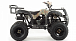 Квадроцикл MOTOLAND (МОТОЛЕНД) 200 ALL ROAD в Новошахтинске