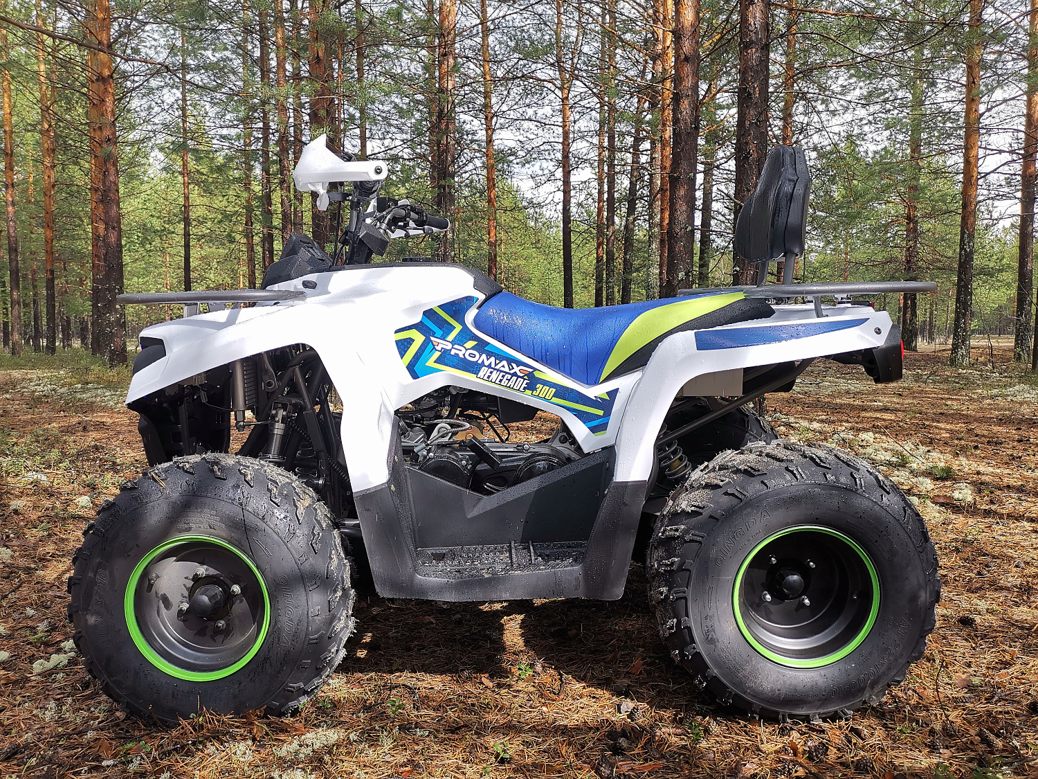 Квадроцикл PROMAX RENEGADE 280 (2025) в Новошахтинске