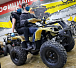 Квадроцикл PROMAX ATV 250 (2025) в Новошахтинске