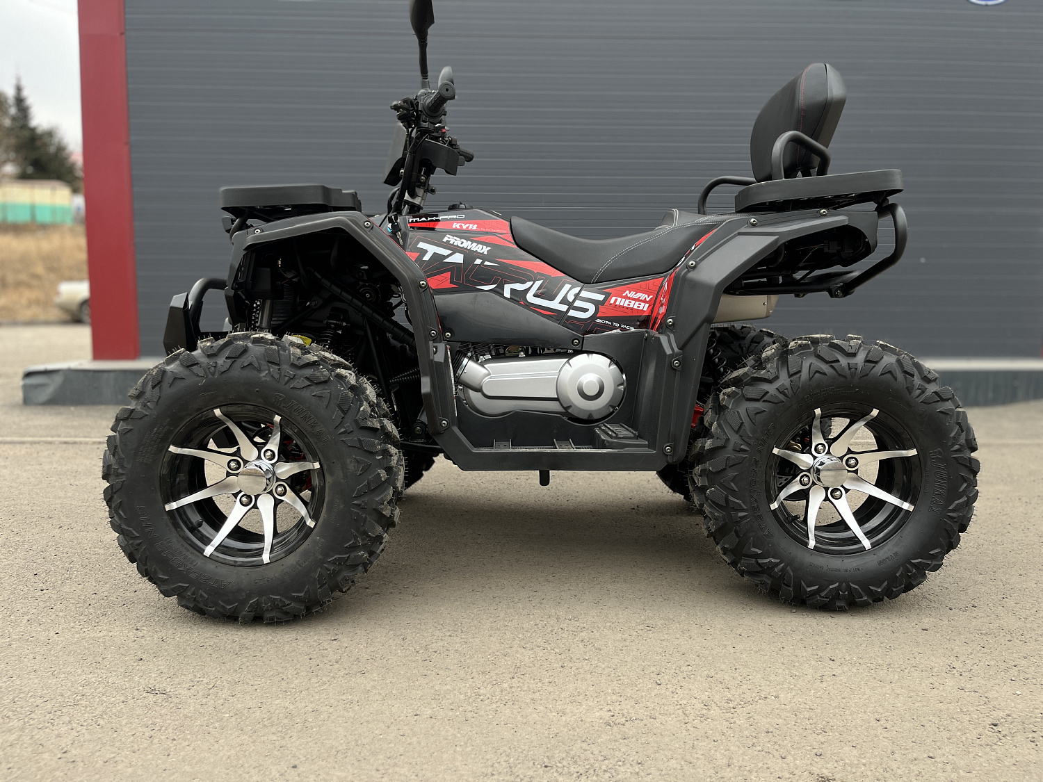 Квадроцикл PROMAX TAURUS 300 MAX-PRO LONG в Новошахтинске