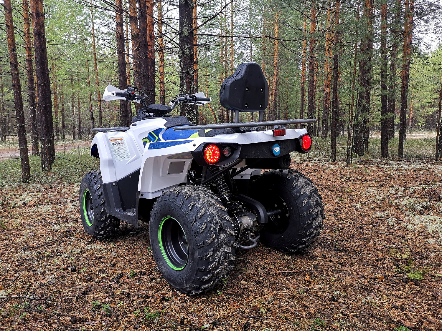 Квадроцикл PROMAX RENEGADE 280 (2025) в Новошахтинске