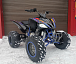 Квадроцикл PROMAX RAPTOR 300 NEW RedBull в Новошахтинске