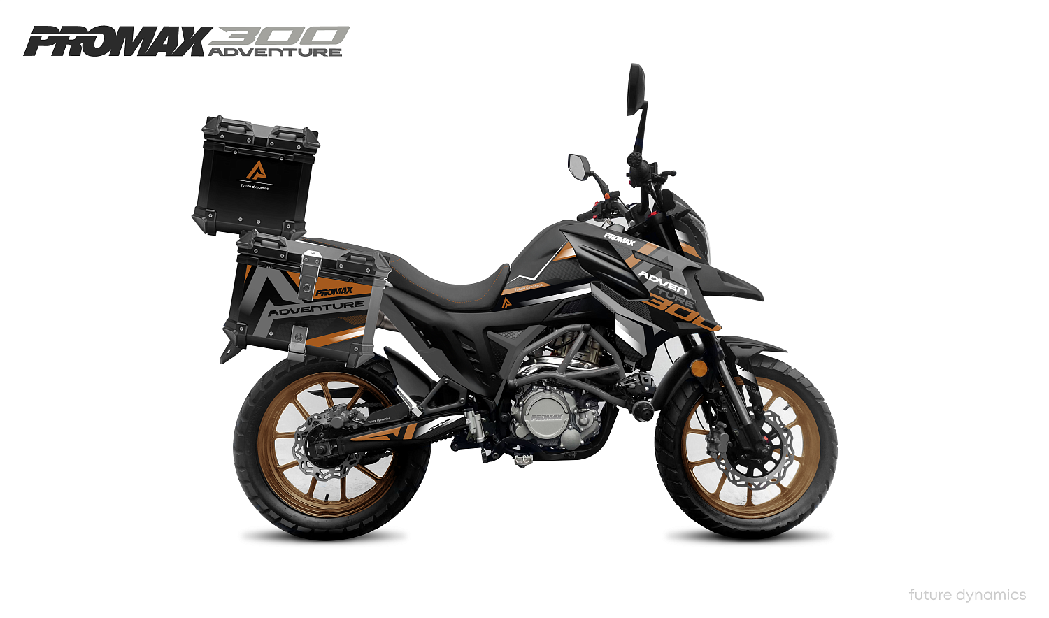 Мотоцикл PROMAX ADVENTURE 300 PRO EFI (NB300) в Новошахтинске