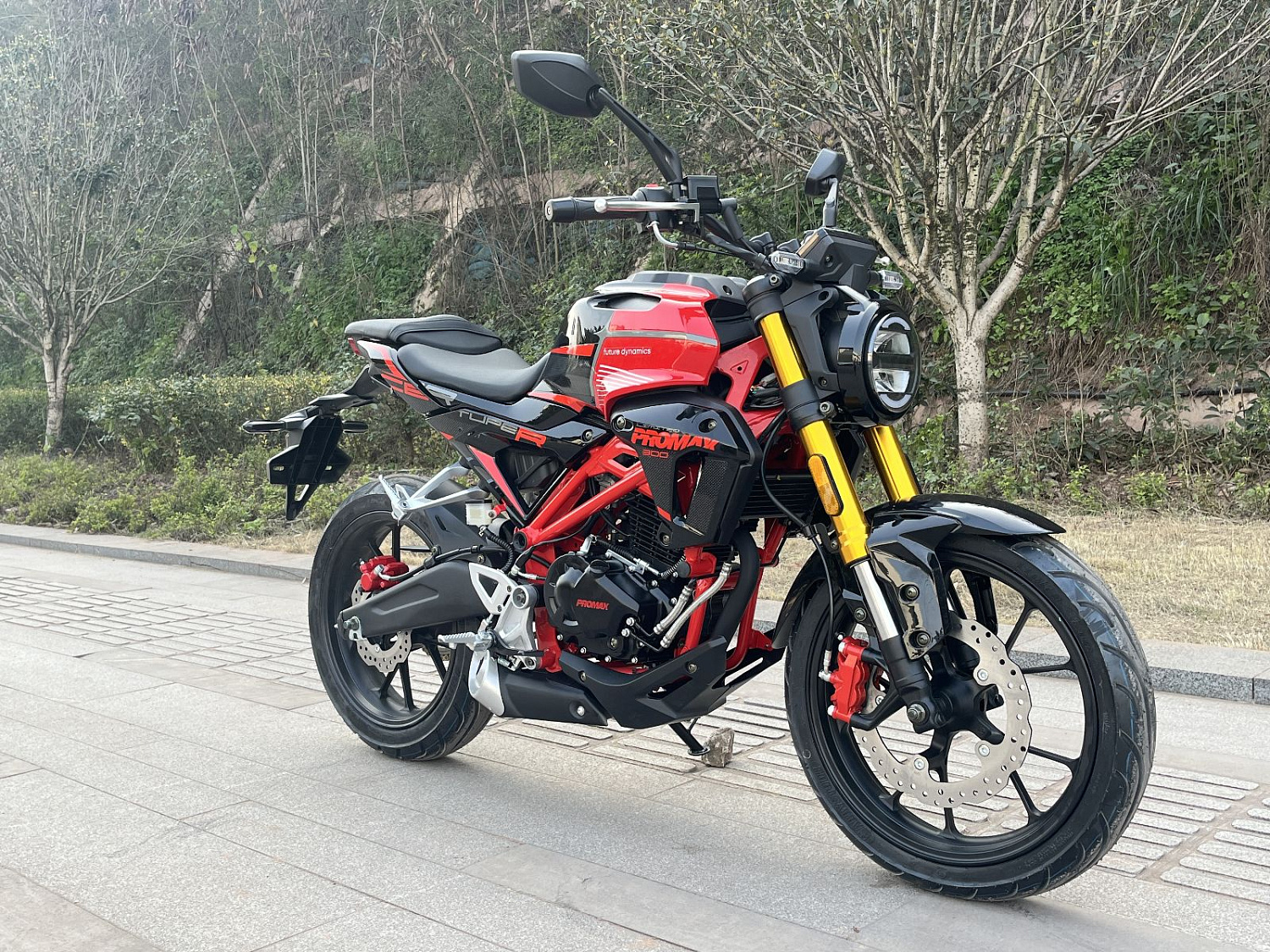 Мотоцикл PROMAX CB300RL (4V, 6G) в Новошахтинске