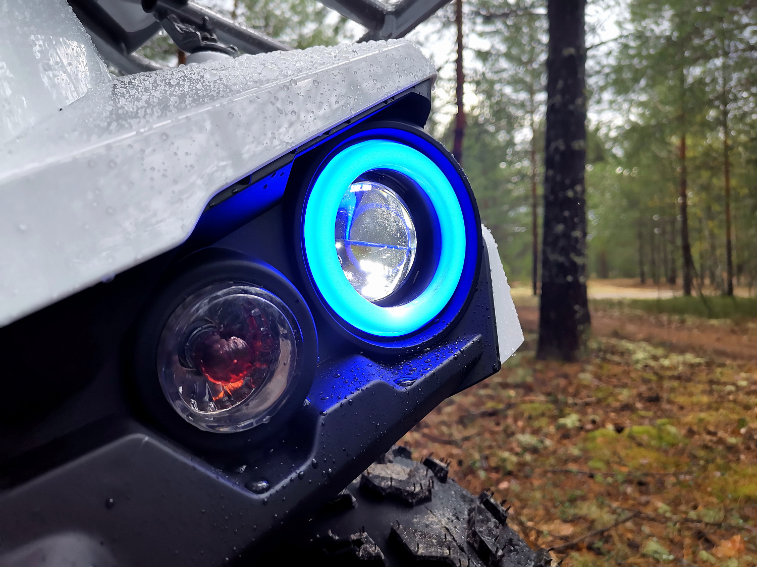 Квадроцикл PROMAX RENEGADE 280 (2025) в Новошахтинске