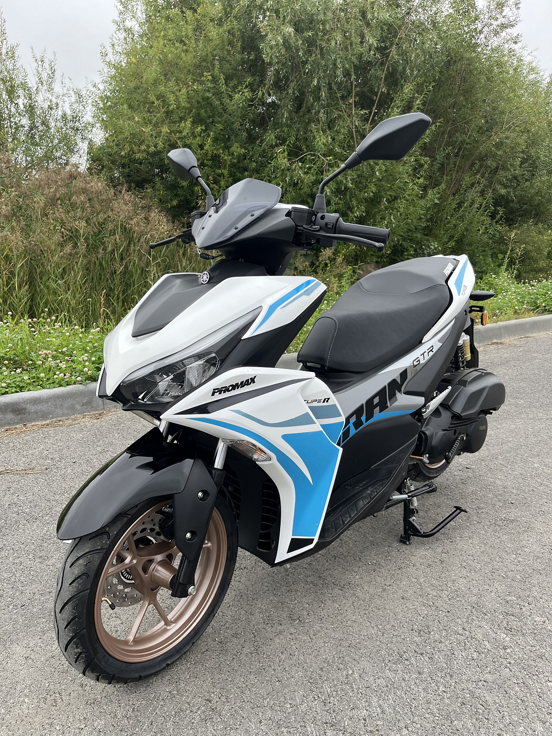 Скутер PROMAX TURAN 250 (49) в Новошахтинске