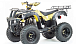 Квадроцикл MOTOLAND (МОТОЛЕНД) 250 ADVENTURE в Новошахтинске