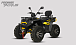 Квадроцикл PROMAX TAURUS 300 MAX-PRO LONG в Новошахтинске